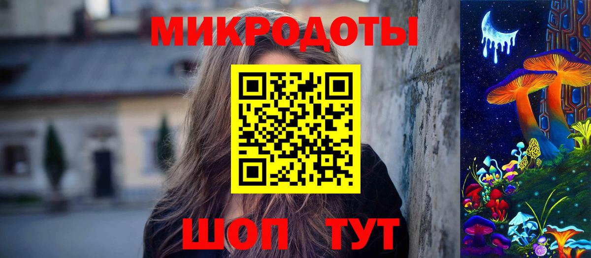 Псилоцибиновые грибы Psilocybine cubensis Дмитров