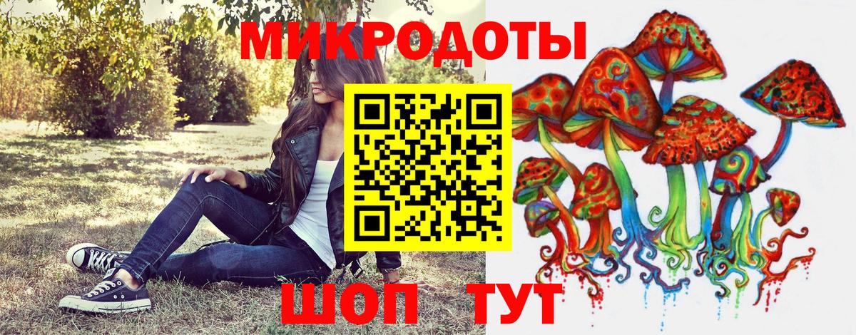 Дмитров  Галлюциногенные грибы MAGIC MUSHROOMS  Вход с VPN 